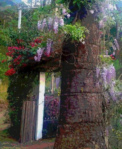 Casa na Floresta em Campos do Jordao - image 15