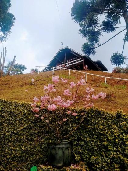 Chalé Manacá House - image 11